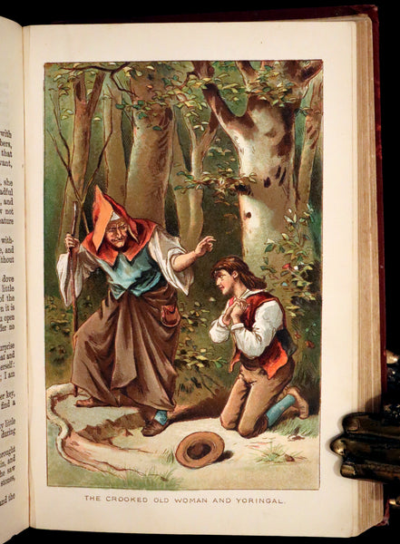 1896 Scarce Victorian Book - The Brothers Grimm's FAIRY TALES and Household Stories, illustrated.