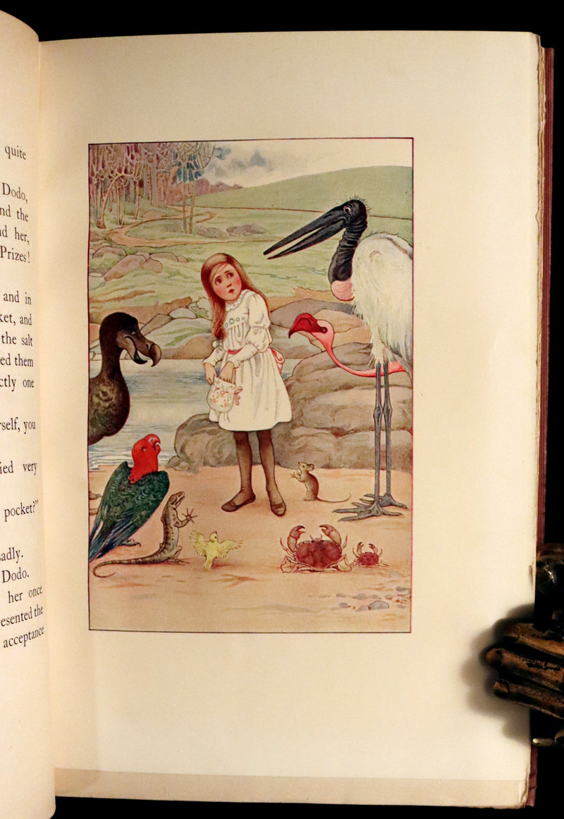 1908 Scarce Book - Alice's Adventures in Wonderland Illustrated by Amy Millicent Sowerby. 1st US Edition.