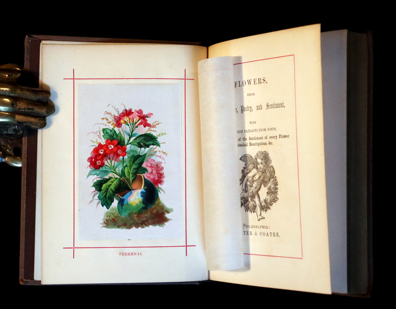 1870 Scarce Floriography Book - FLOWERS, Their Language, Poetry, and Sentiment.