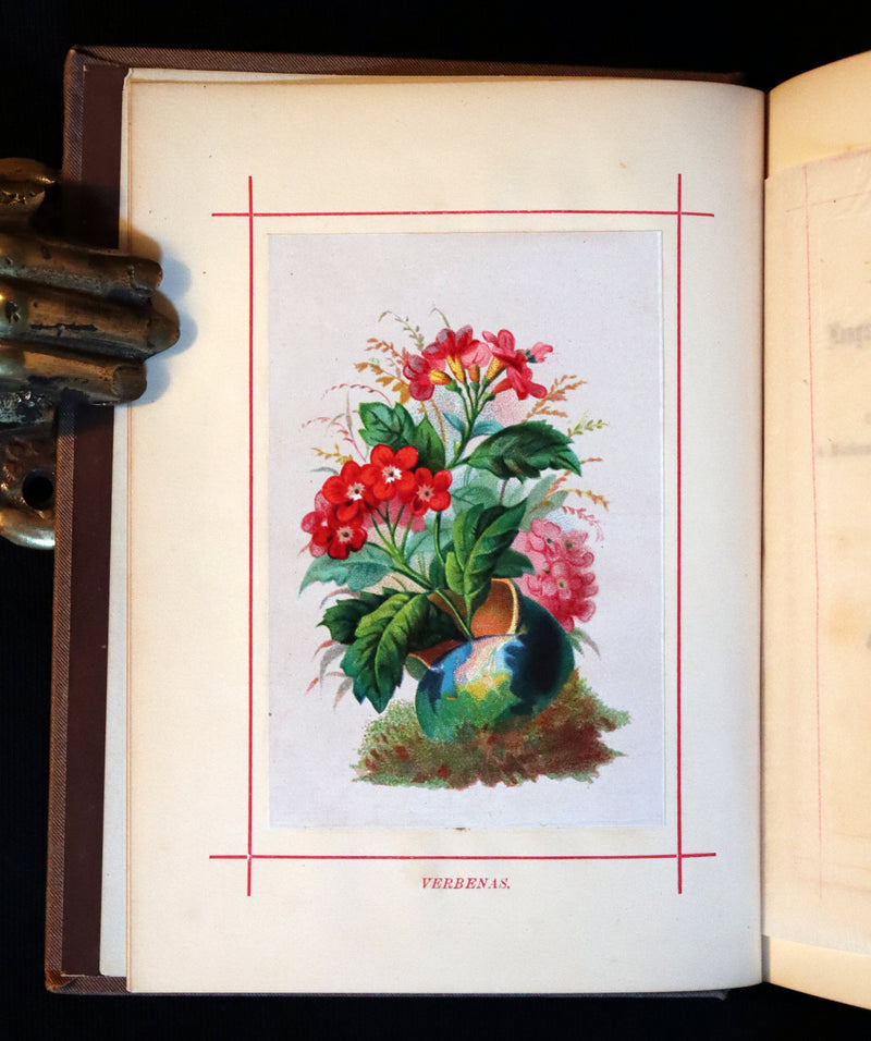 1870 Scarce Floriography Book - FLOWERS, Their Language, Poetry, and Sentiment.