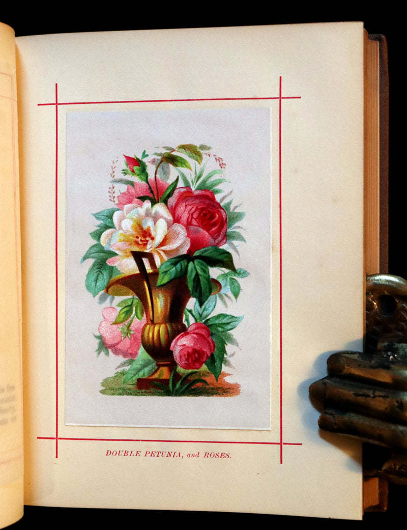 1870 Scarce Floriography Book - FLOWERS, Their Language, Poetry, and Sentiment.
