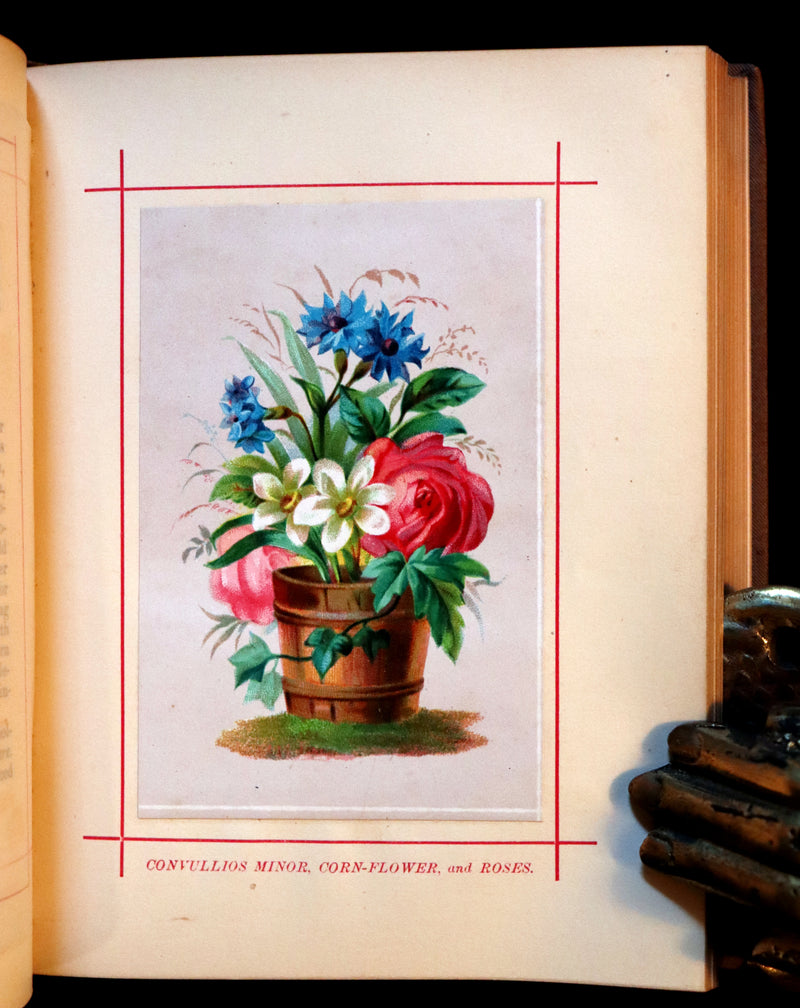 1870 Scarce Floriography Book - FLOWERS, Their Language, Poetry, and Sentiment.