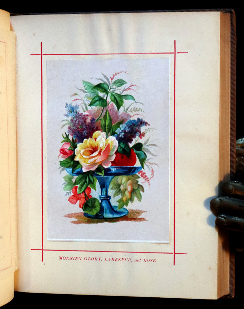 1870 Scarce Floriography Book - FLOWERS, Their Language, Poetry, and Sentiment.
