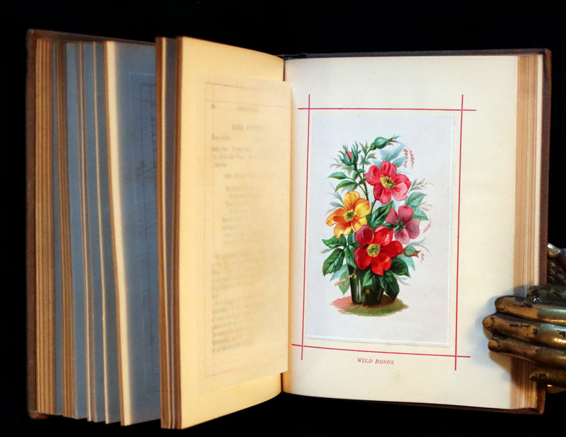 1870 Scarce Floriography Book - FLOWERS, Their Language, Poetry, and Sentiment.