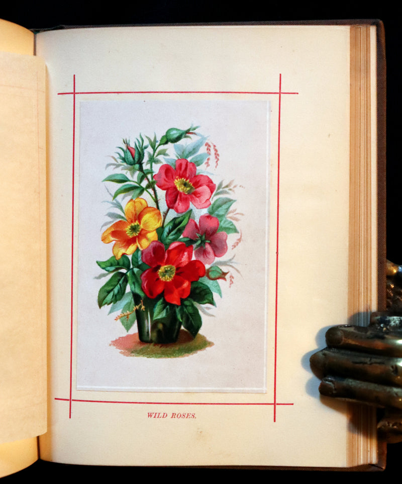 1870 Scarce Floriography Book - FLOWERS, Their Language, Poetry, and Sentiment.