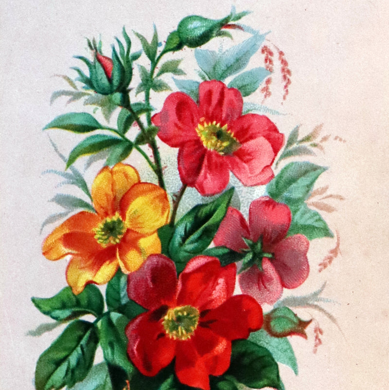 1870 Scarce Floriography Book - FLOWERS, Their Language, Poetry, and Sentiment.