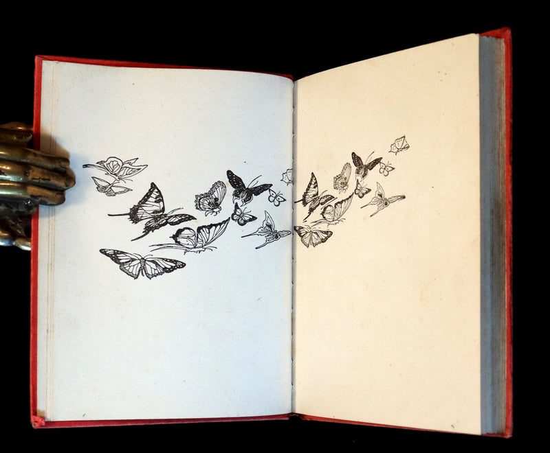 1908 Rare Book - The Ugly Duckling From Andersen's Fairy Tales illustrated by John R. Neill.