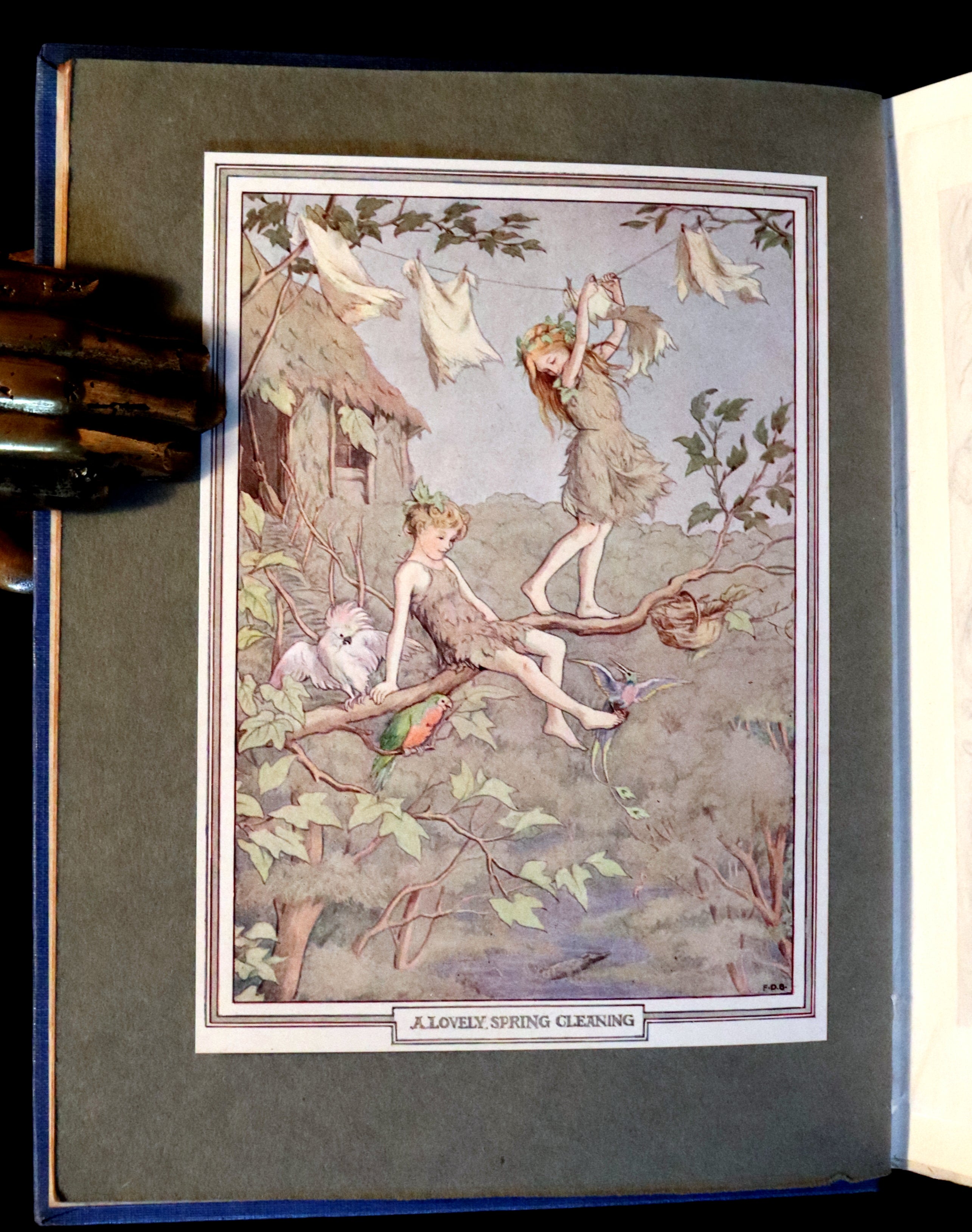 1911 Peter Pan First Edition - Peter and Wendy — MFLIBRA - Antique