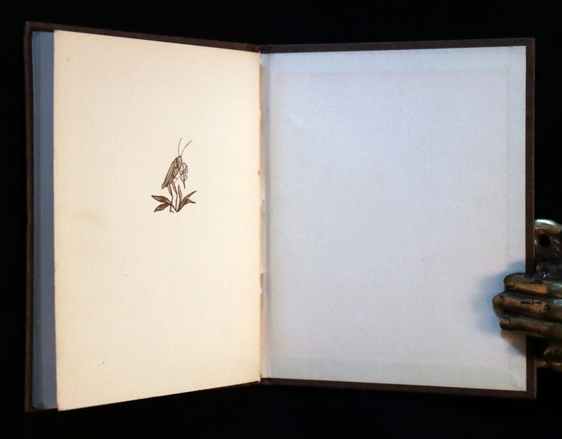 1936 Scarce First Edition - THE GNOME'S ALMANACK by Ida Bohatta translated by June Head.