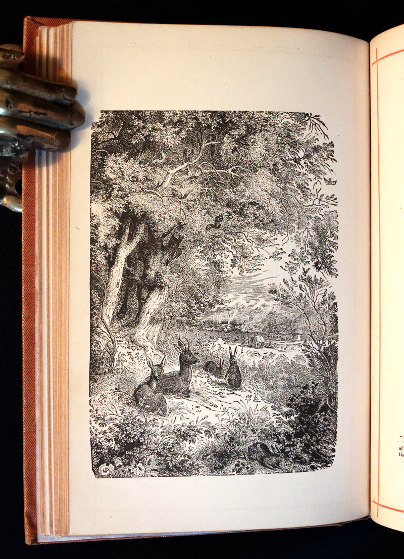 1880 Scarce Victorian Book - The POETS of AMERICA With Explanatory Notes by George B. Cheever.