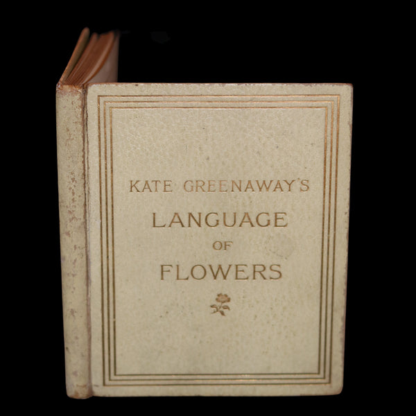1884 Rare First Edition - LANGUAGE OF FLOWERS illustrated by Kate Greenaway in colours.