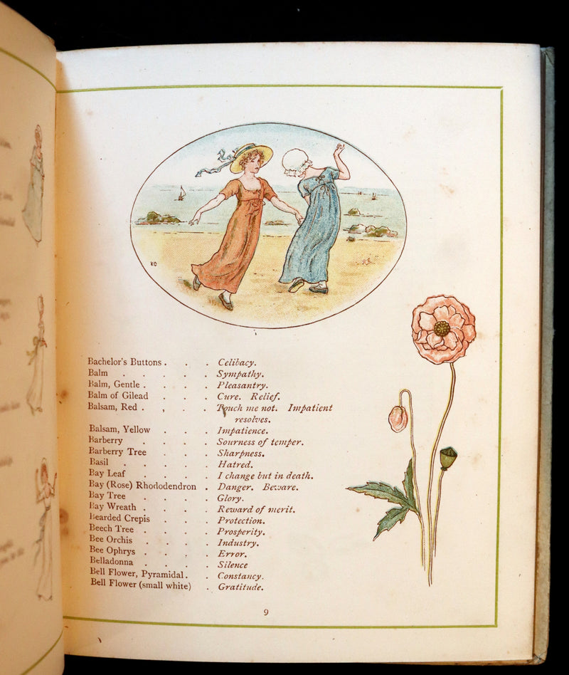 1884 Rare First Edition - LANGUAGE OF FLOWERS illustrated by Kate Greenaway in colours.