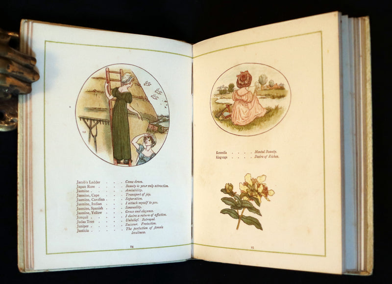 1884 Rare First Edition - LANGUAGE OF FLOWERS illustrated by Kate Greenaway in colours.