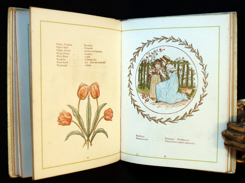 1884 Rare First Edition - LANGUAGE OF FLOWERS illustrated by Kate Greenaway in colours.