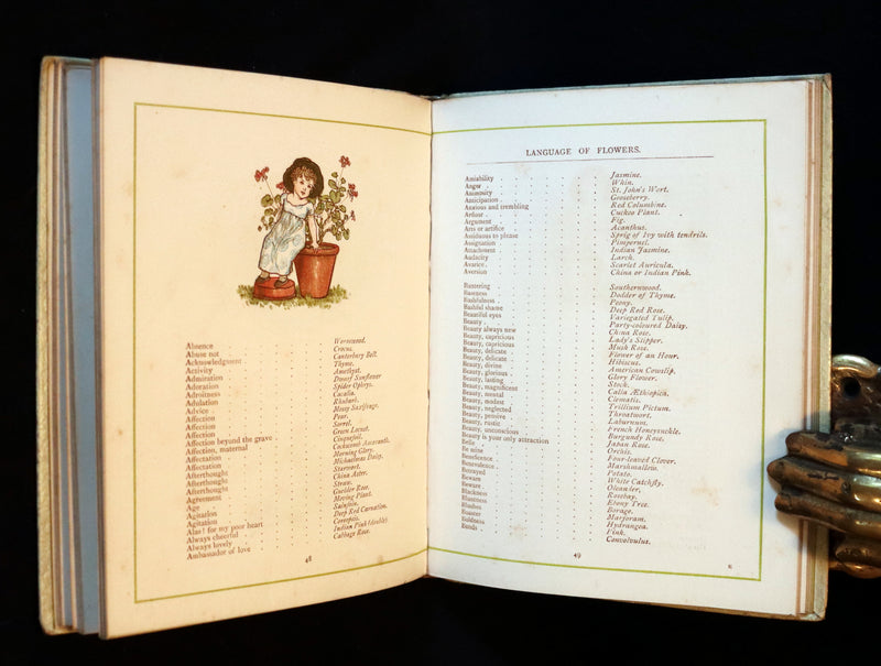 1884 Rare First Edition - LANGUAGE OF FLOWERS illustrated by Kate Greenaway in colours.