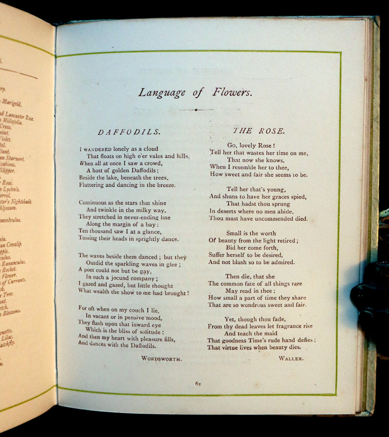 1884 Rare First Edition - LANGUAGE OF FLOWERS illustrated by Kate Greenaway in colours.