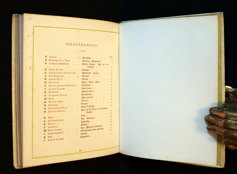 1884 Rare First Edition - LANGUAGE OF FLOWERS illustrated by Kate Greenaway in colours.