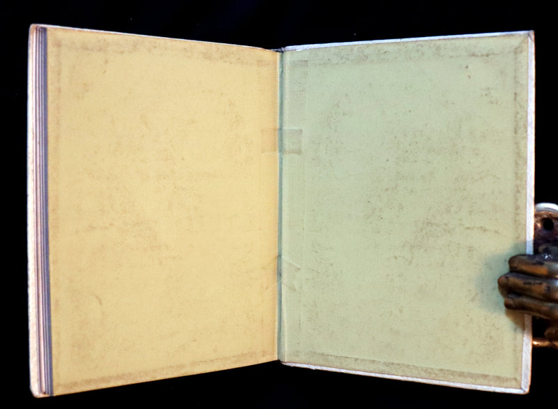 1884 Rare First Edition - LANGUAGE OF FLOWERS illustrated by Kate Greenaway in colours.