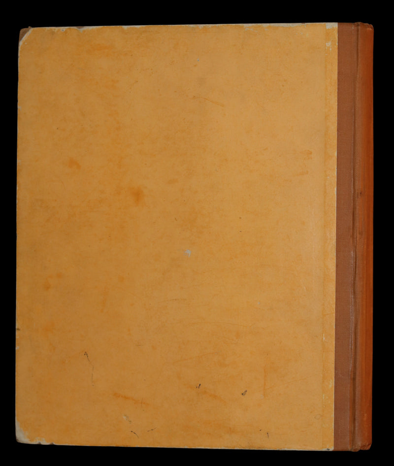 1883 First Edition illustrated by Marion M. Wingrave - QUACKS The Ugly Duckling From Andersen's Fairy Tales.