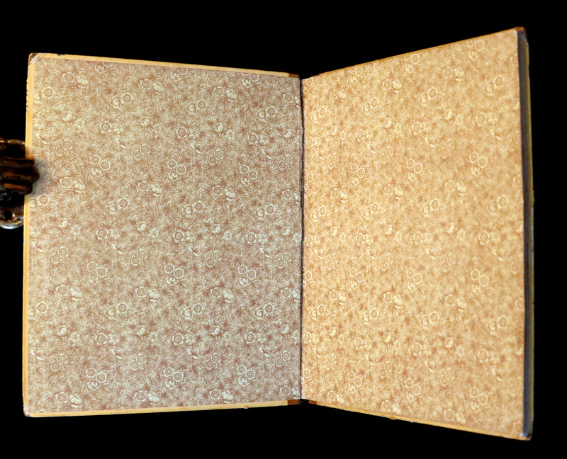 1883 First Edition illustrated by Marion M. Wingrave - QUACKS The Ugly Duckling From Andersen's Fairy Tales.