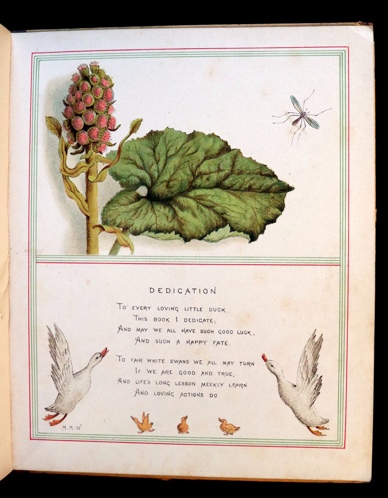 1883 First Edition illustrated by Marion M. Wingrave - QUACKS The Ugly Duckling From Andersen's Fairy Tales.