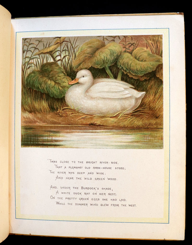 1883 First Edition illustrated by Marion M. Wingrave - QUACKS The Ugly Duckling From Andersen's Fairy Tales.