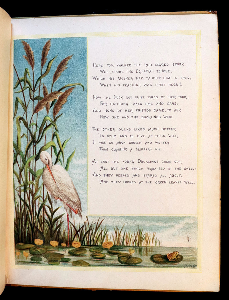 1883 First Edition illustrated by Marion M. Wingrave - QUACKS The Ugly Duckling From Andersen's Fairy Tales.