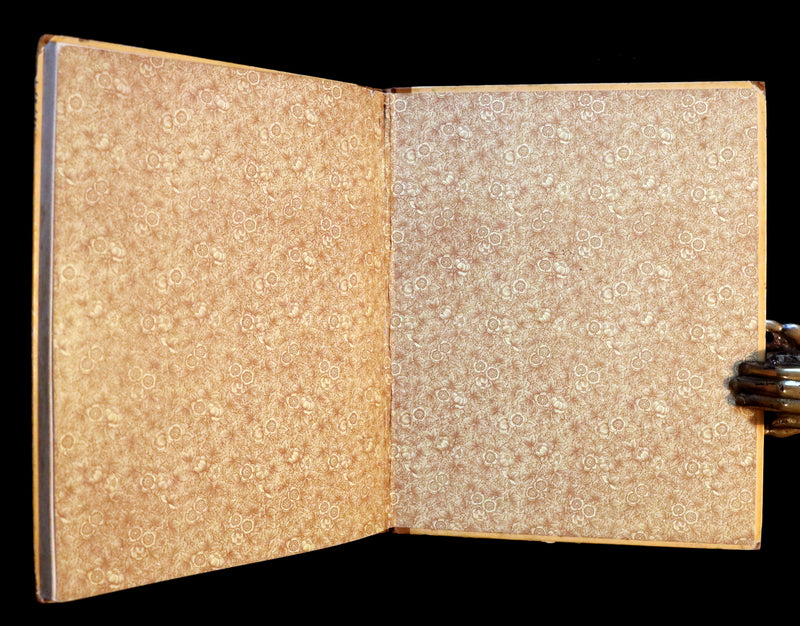 1883 First Edition illustrated by Marion M. Wingrave - QUACKS The Ugly Duckling From Andersen's Fairy Tales.