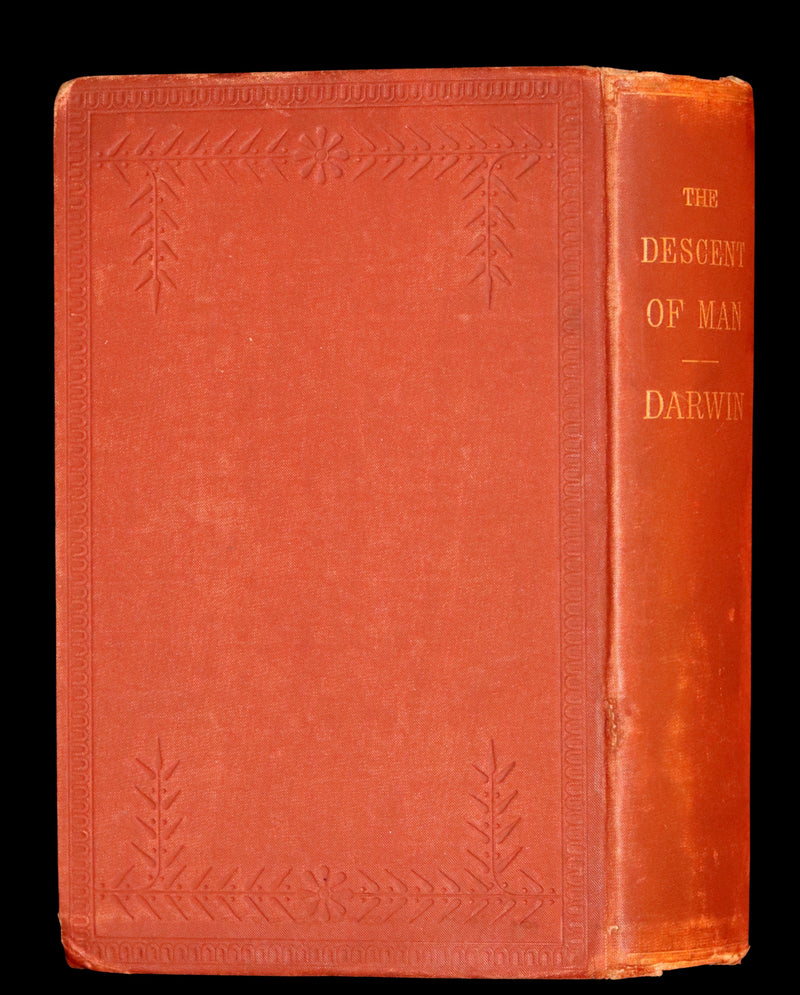1883 Rare Book - CHARLES DARWIN - The DESCENT OF MAN and Selection in Relation to Sex.