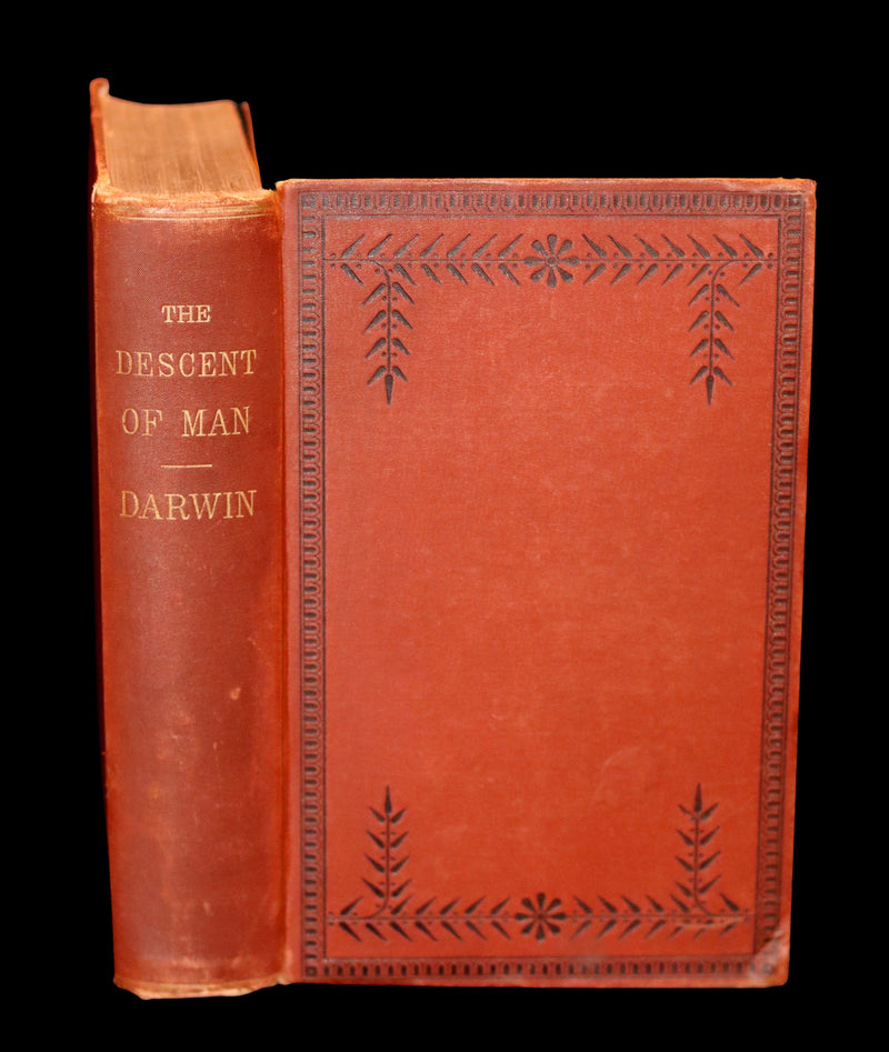 1883 Rare Book - CHARLES DARWIN - The DESCENT OF MAN and Selection in Relation to Sex.