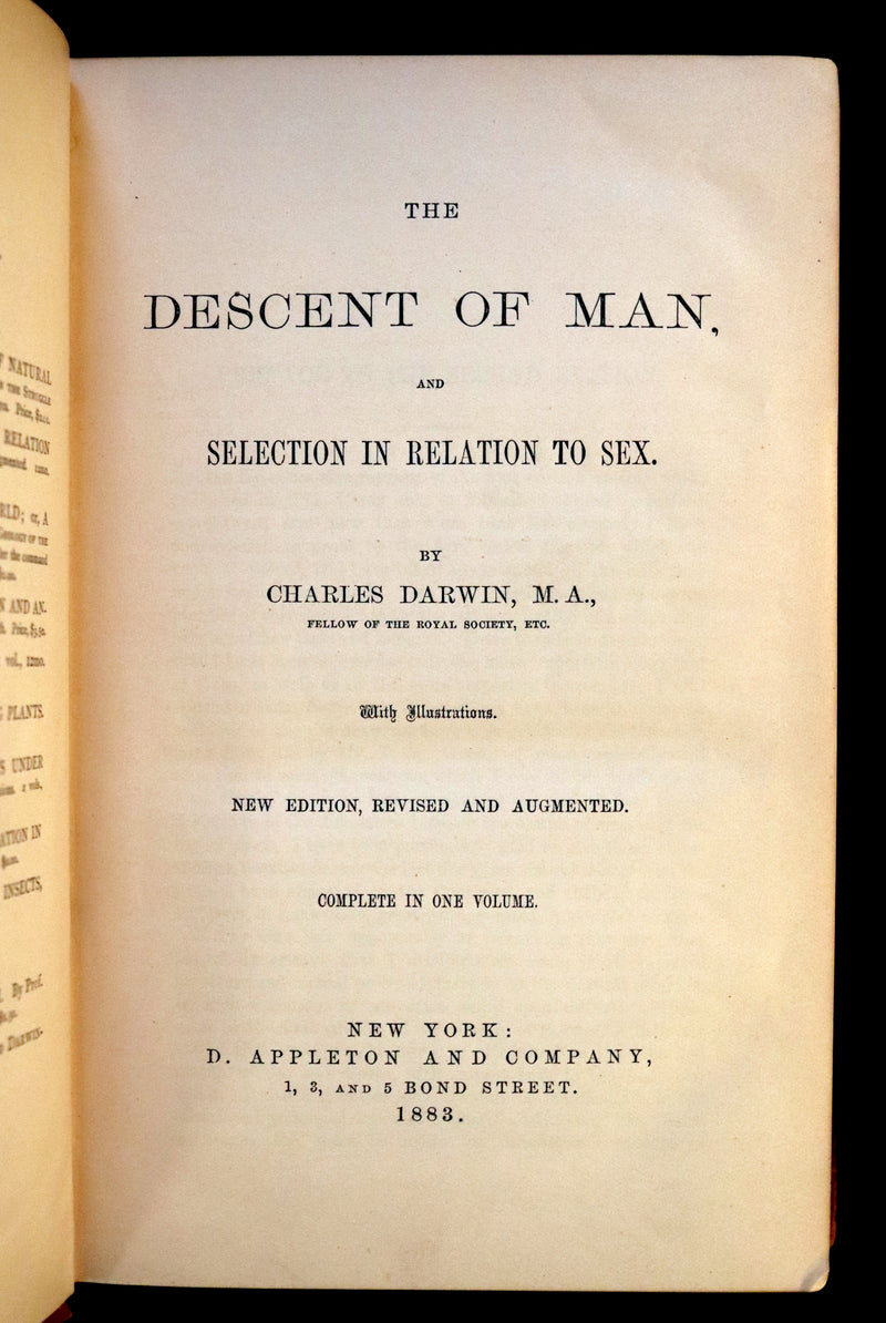 1883 Rare Book - CHARLES DARWIN - The DESCENT OF MAN and Selection in Relation to Sex.