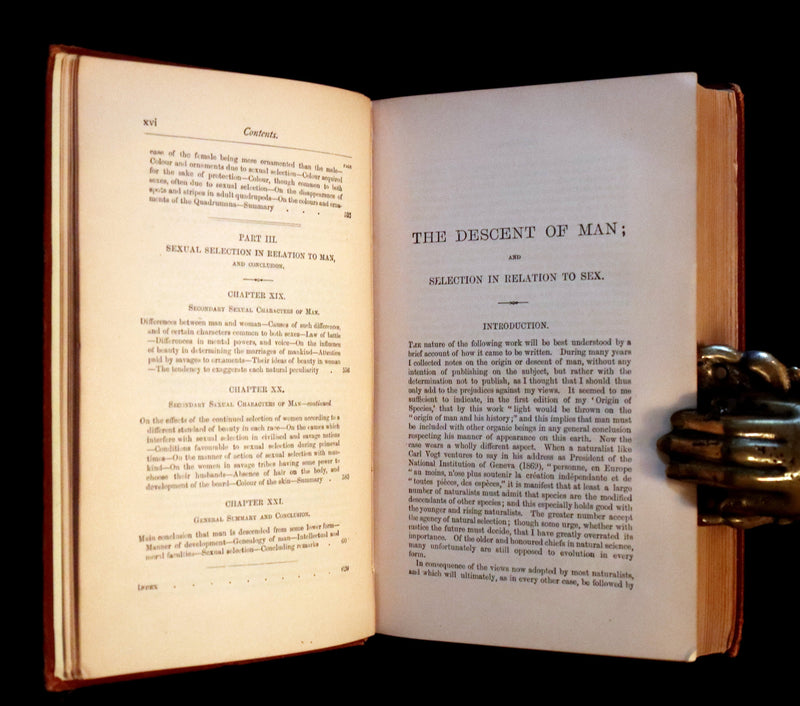 1883 Rare Book - CHARLES DARWIN - The DESCENT OF MAN and Selection in Relation to Sex.
