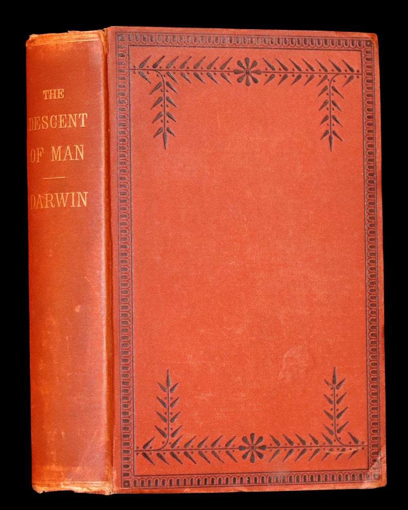 1883 Rare Book - CHARLES DARWIN - The DESCENT OF MAN and Selection in Relation to Sex.