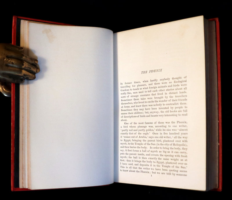 1899 First Edition - The RED BOOK of ANIMAL STORIES by Andrew Lang Illustrated by H.J. FORD.