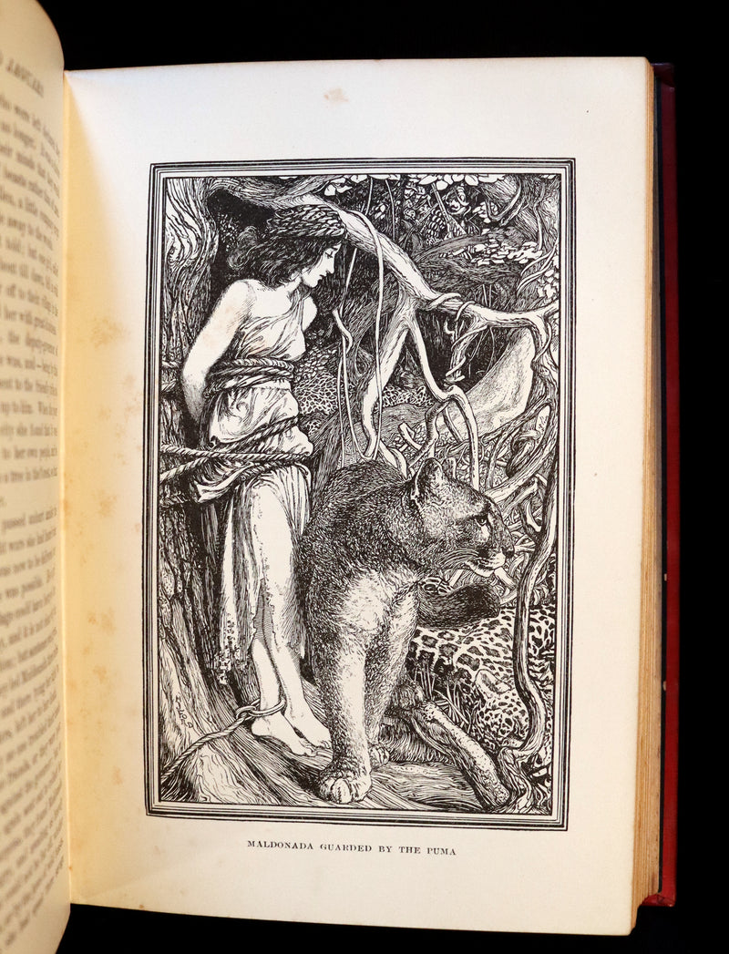 1899 First Edition - The RED BOOK of ANIMAL STORIES by Andrew Lang Illustrated by H.J. FORD.