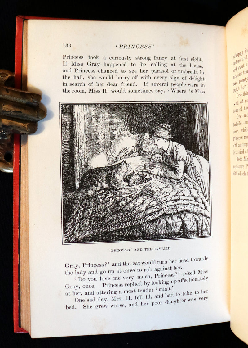 1899 First Edition - The RED BOOK of ANIMAL STORIES by Andrew Lang Illustrated by H.J. FORD.