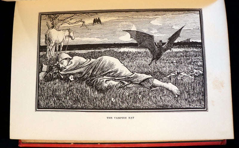 1899 First Edition - The RED BOOK of ANIMAL STORIES by Andrew Lang Illustrated by H.J. FORD.