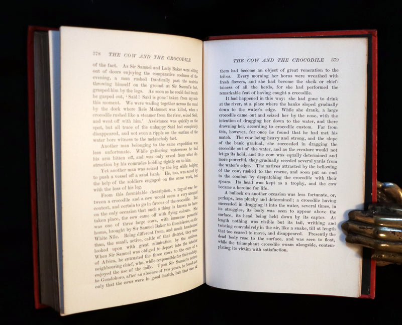 1899 First Edition - The RED BOOK of ANIMAL STORIES by Andrew Lang Illustrated by H.J. FORD.
