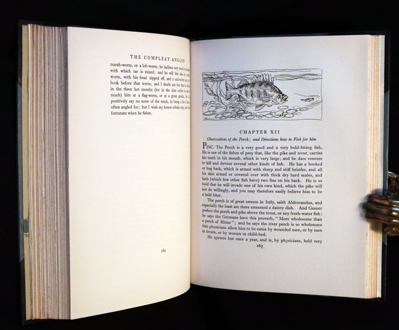1931 Rare First Edition - THE COMPLEAT ANGLER illustrated by Arthur RACKHAM. Celebration of the Art and Spirit of Fishing.