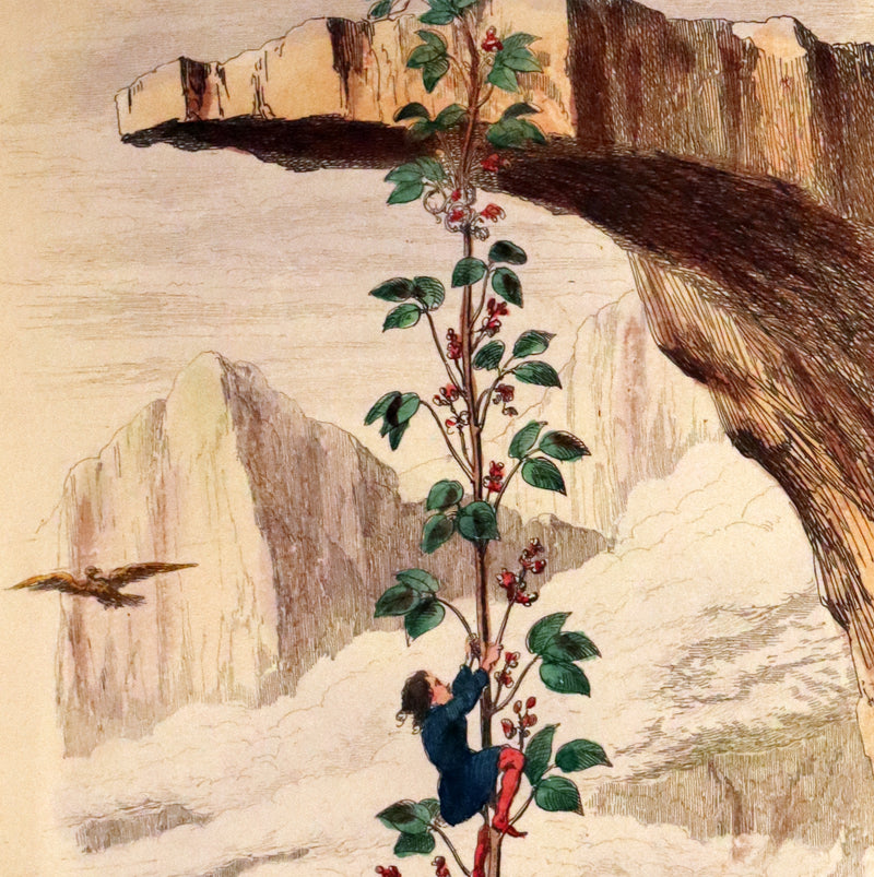 1854 Scarce First Edition bound by Riviere - The History of Jack & The Bean-Stalk. CRUIKSHANK'S FAIRY LIBRARY.