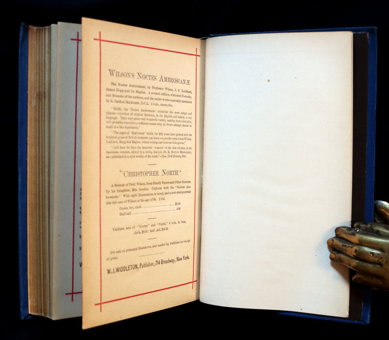 1882 Rare Victorian Book - Poems of Edgar Allan POE (The Raven, Lenore, Ulalume, ...).