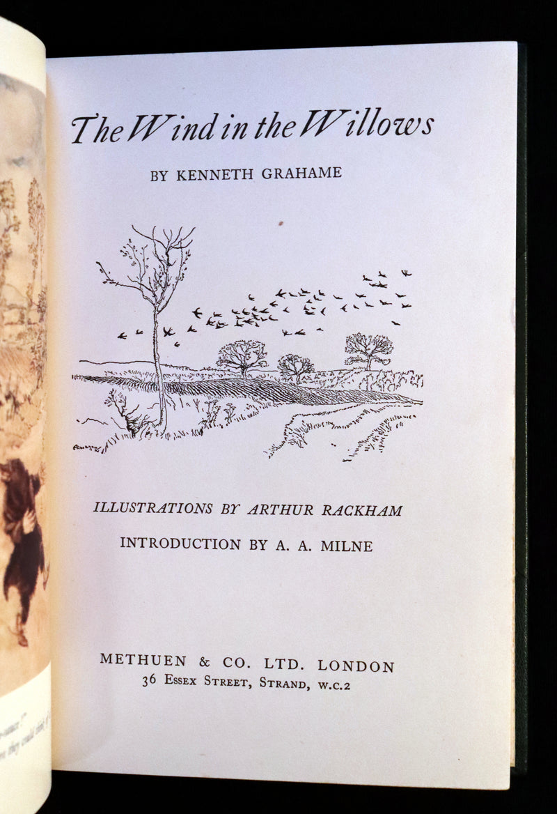 1950 Rare Book - The WIND IN THE WILLOWS. First Edition illustrated by Arthur RACKHAM.