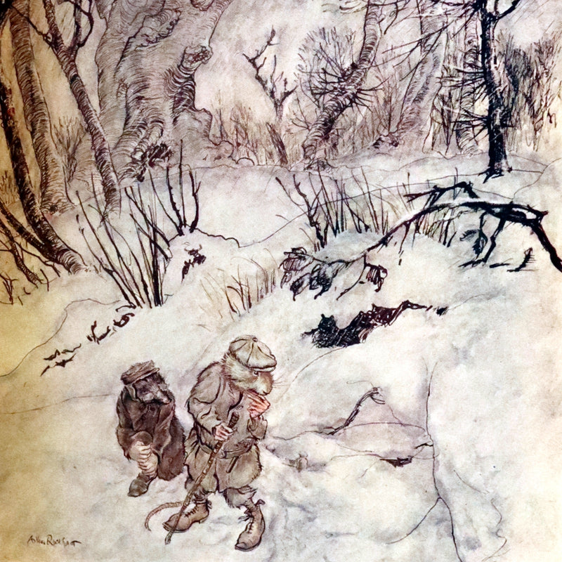 1950 Rare Book - The WIND IN THE WILLOWS. First Edition illustrated by Arthur RACKHAM.