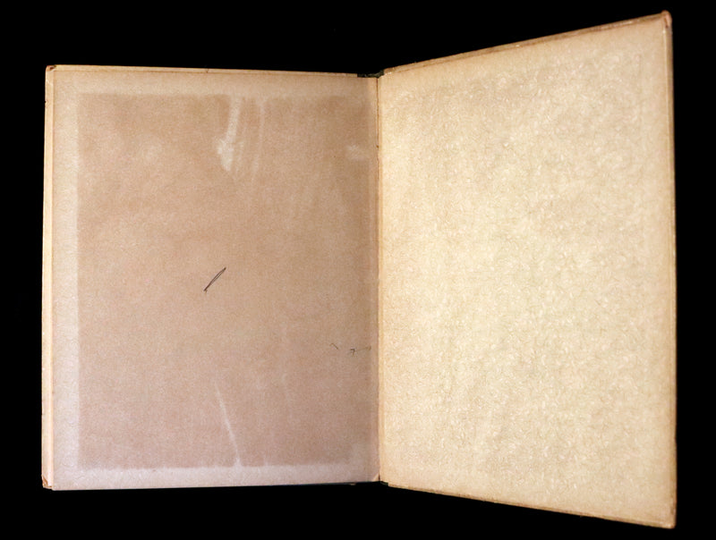 1887 Scarce Victorian Book ~ The Christmas Tree Fairy illustrated by Lizzie Lawson Mack.