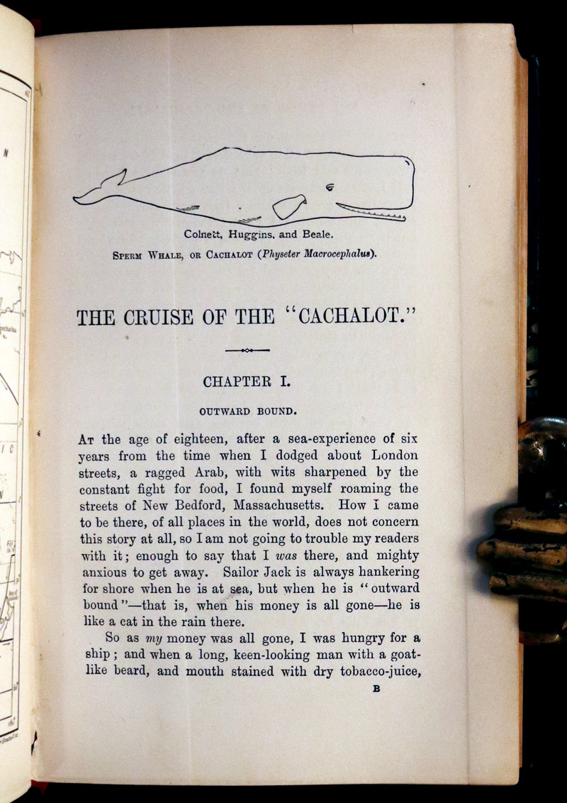 1899 Rare Whaling Expedition Book bound by Root - The Cruise of the "Cachalot" by F.T. Bullen.