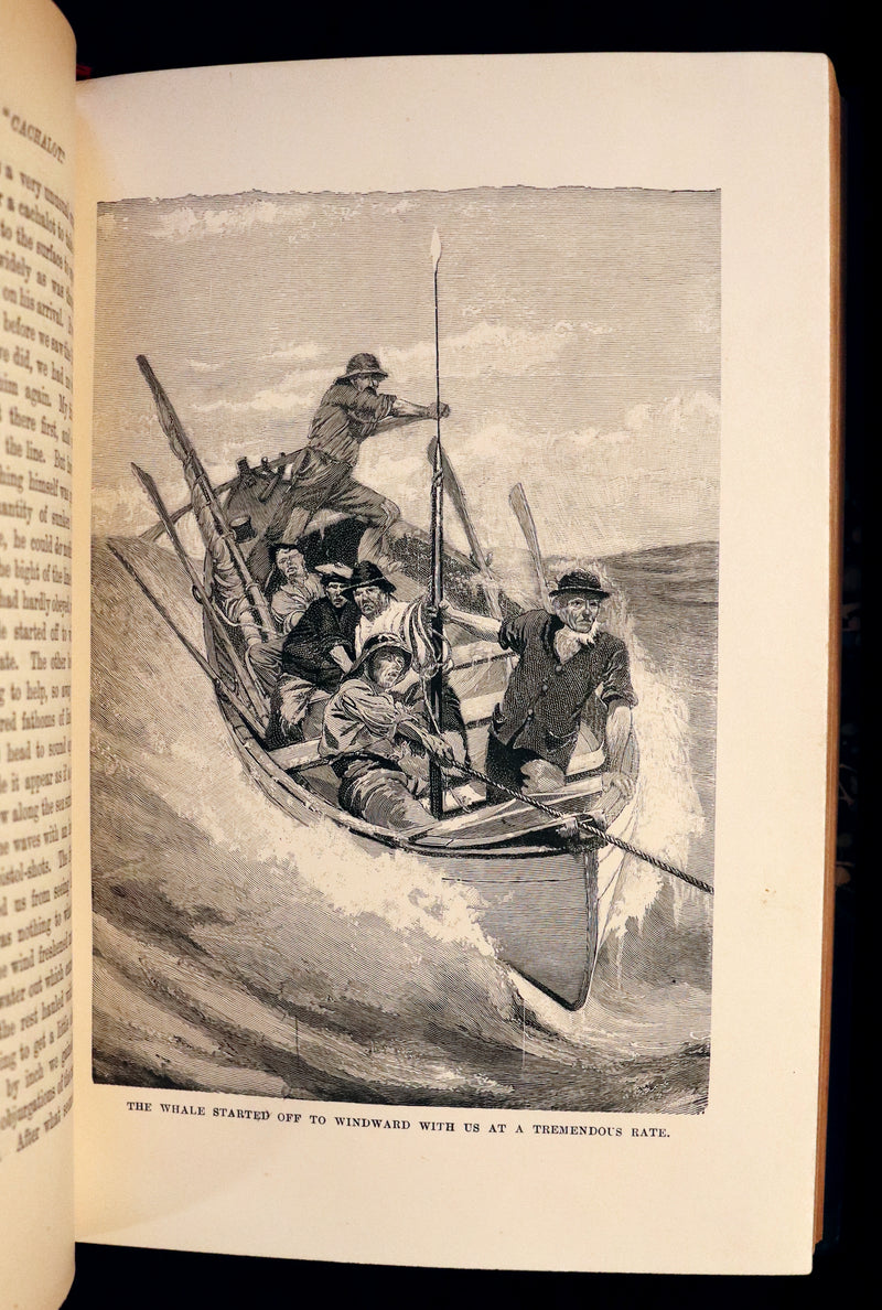 1899 Rare Whaling Expedition Book bound by Root - The Cruise of the "Cachalot" by F.T. Bullen.