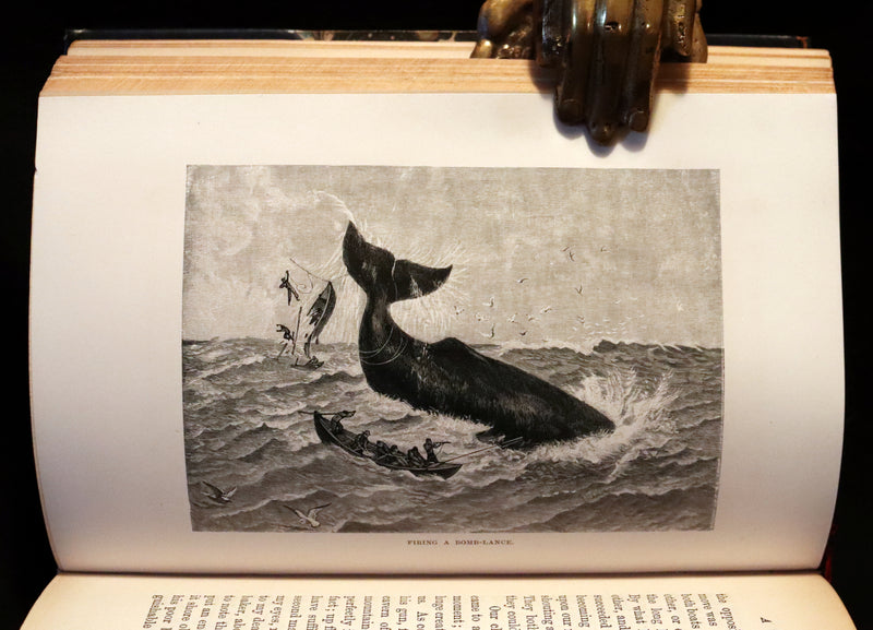 1899 Rare Whaling Expedition Book bound by Root - The Cruise of the "Cachalot" by F.T. Bullen.