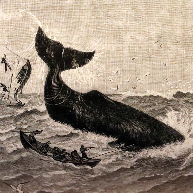 1899 Rare Whaling Expedition Book bound by Root - The Cruise of the "Cachalot" by F.T. Bullen.