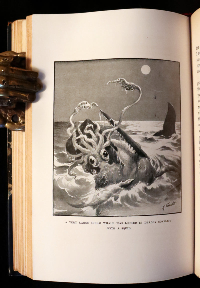 1899 Rare Whaling Expedition Book bound by Root - The Cruise of the "Cachalot" by F.T. Bullen.