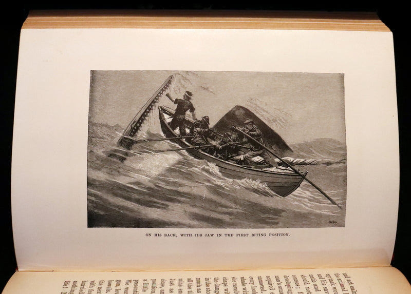 1899 Rare Whaling Expedition Book bound by Root - The Cruise of the "Cachalot" by F.T. Bullen.